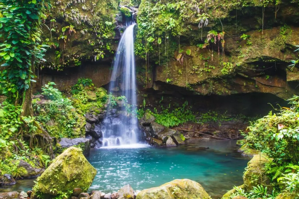 Emerald pool waterfall, Dominica island, Caribbean