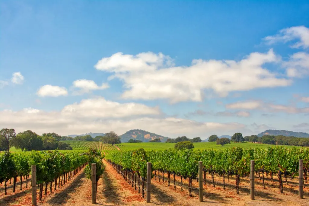 Beautiful Coastline And Renowned Vineyards! This U.S. Destination Named One Of The Best For 2025 Travel&nbsp;