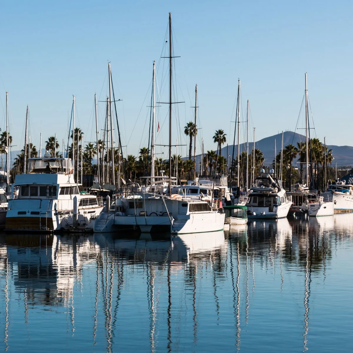 Boats docked at Chula Vista marina