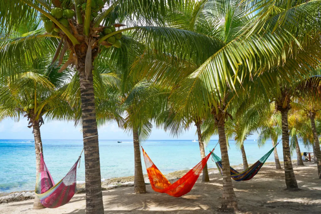 Beach hammocks hanging from palm trees in Cozumel