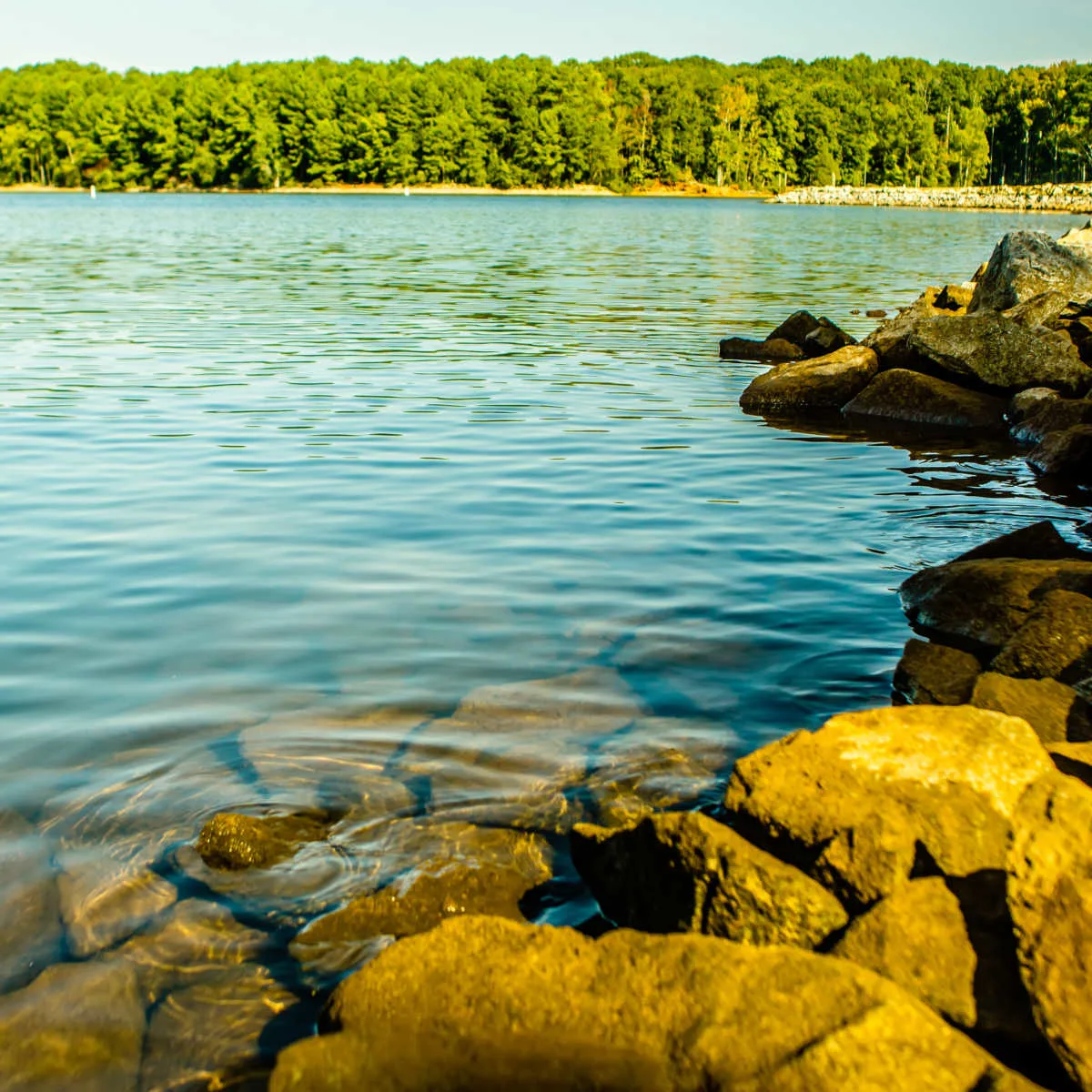 Clear waters of Lake Murray in South Carolina