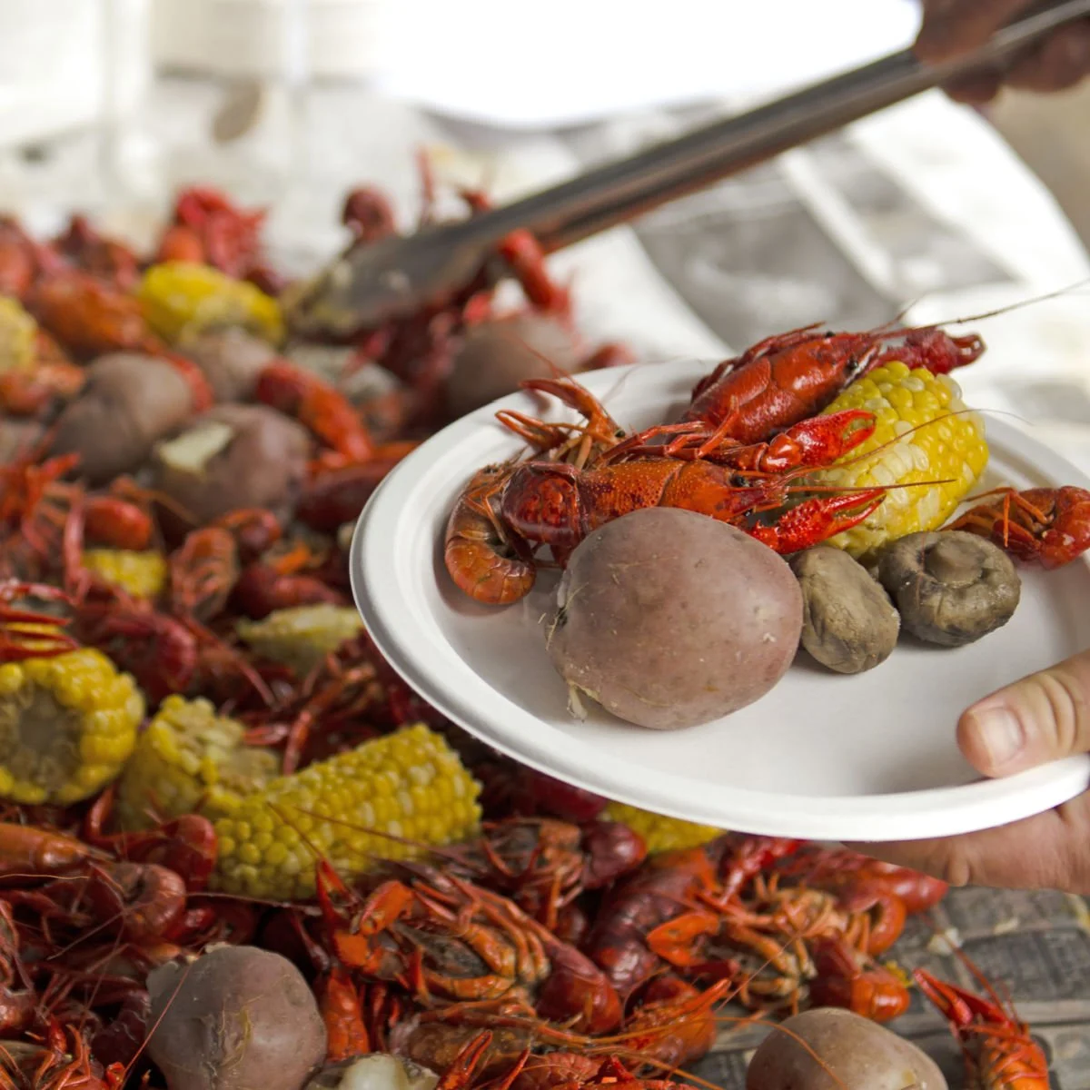 Crawfish boil in Baton Rouge