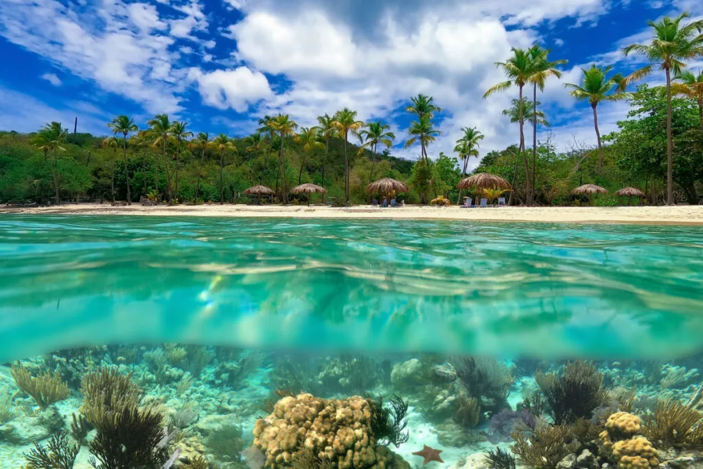 Honeymoon Beach in U.S. Virgin Islands