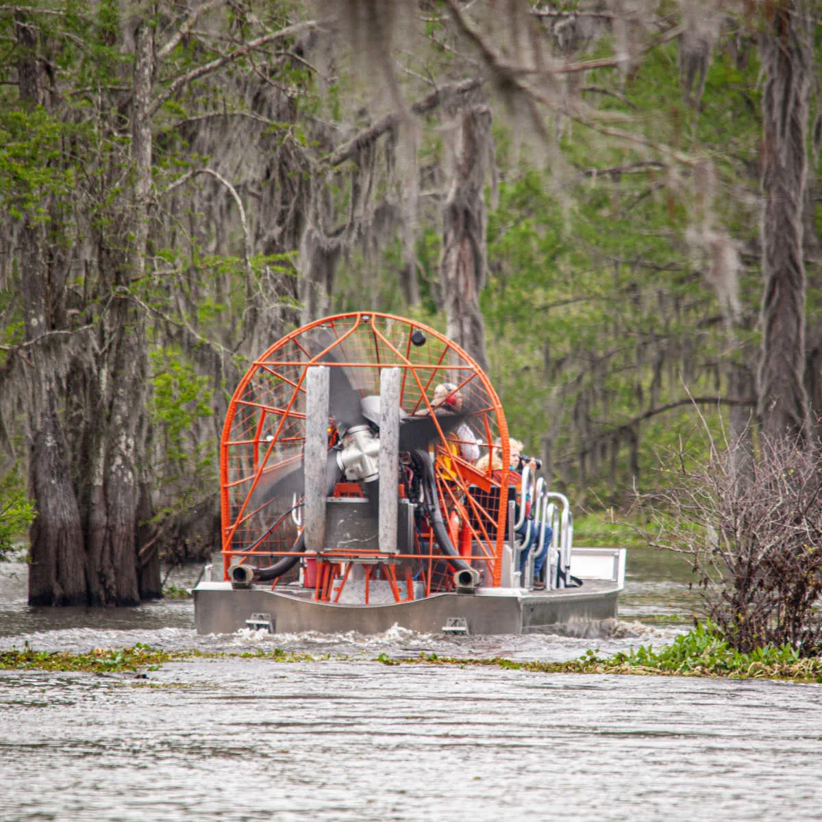 Fan boat in swamplands near Baton Rouge