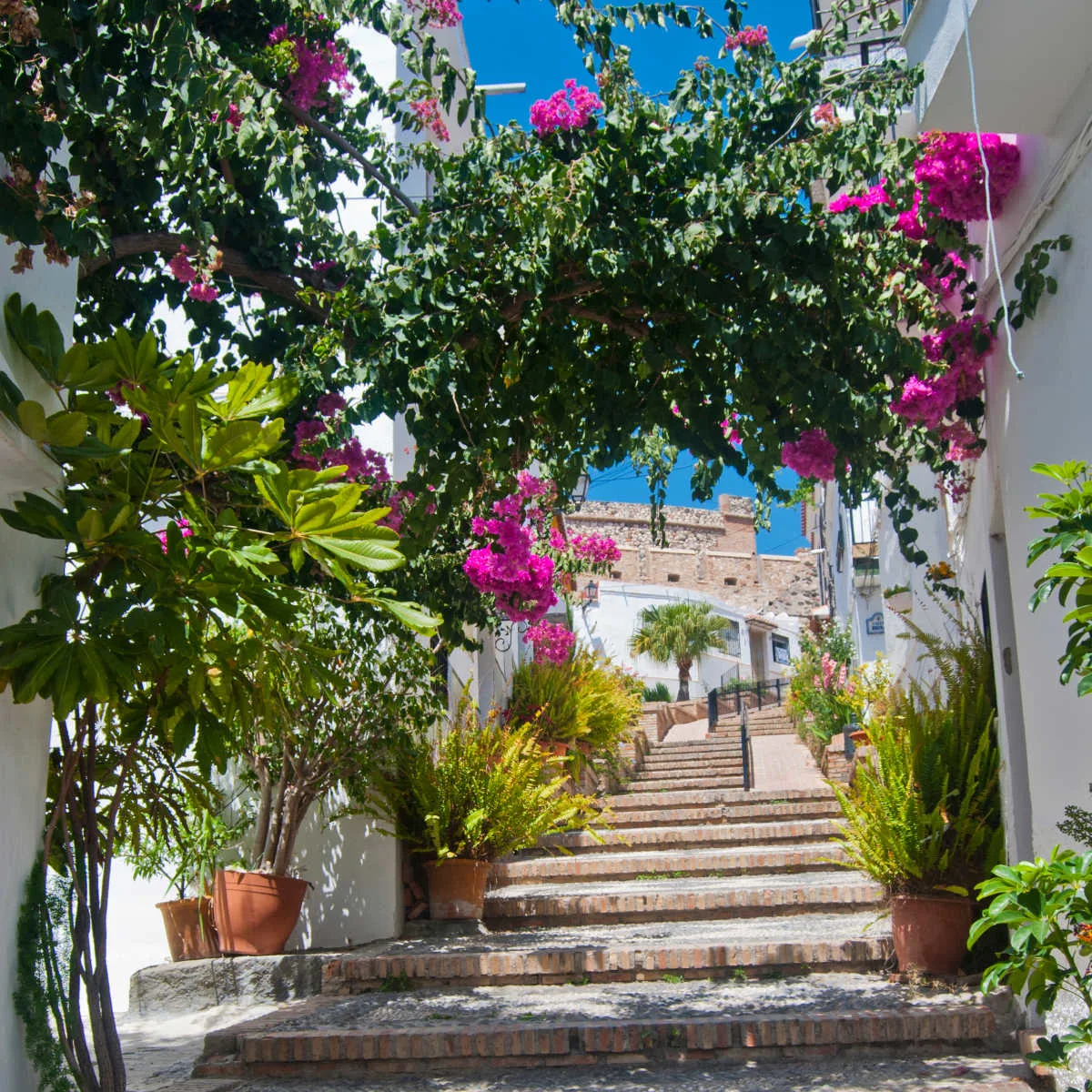 Flower-adorned street in Salobre&ntilde;a