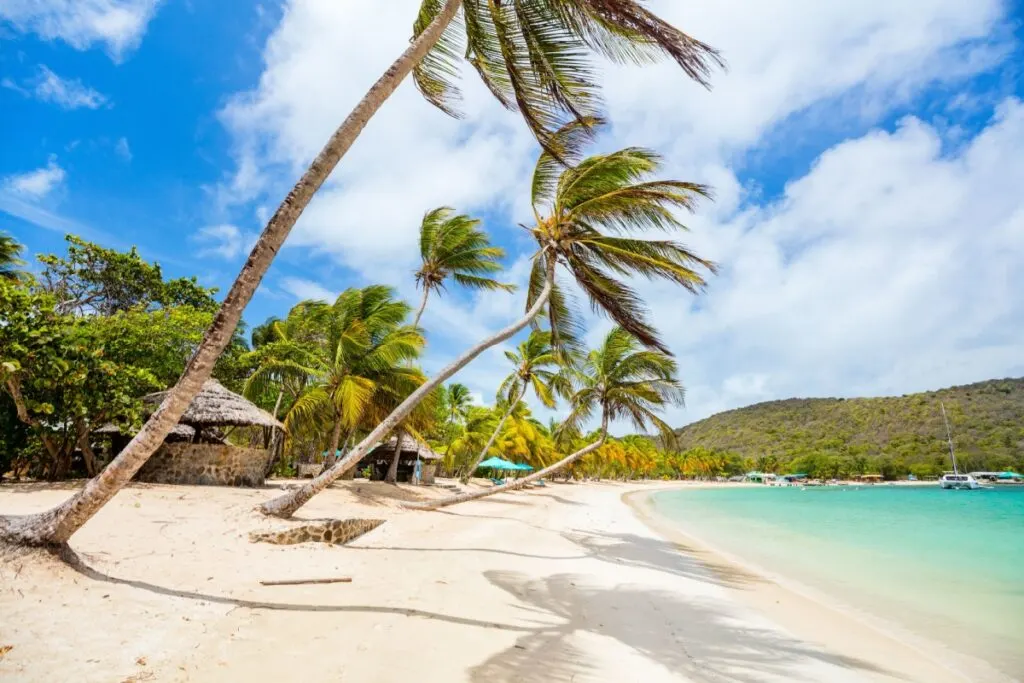 Paradise beach in St. Vincent and the Grenadines