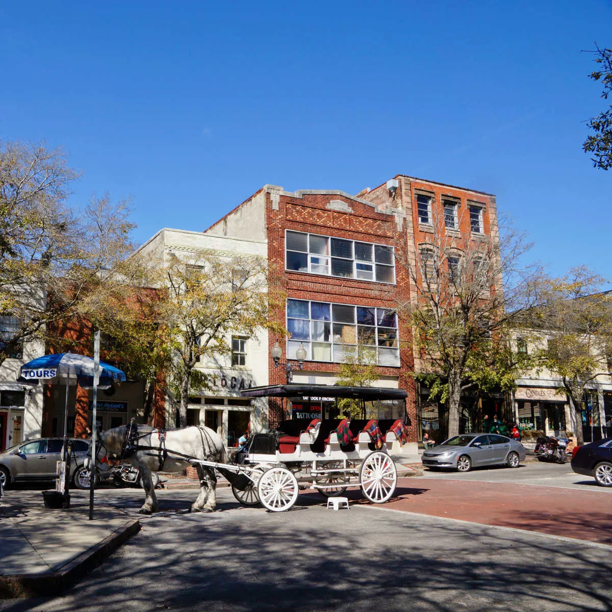 Horse carriage ride - downtown Wilmington, NC