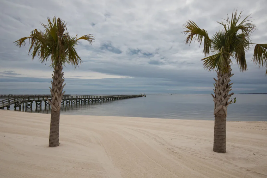 Palm tree on white sand beach in Ocean Springs, MS