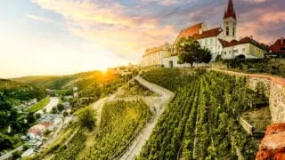 Vineyard backdropped by Gothic Church of St. Nicholas in Znojmo