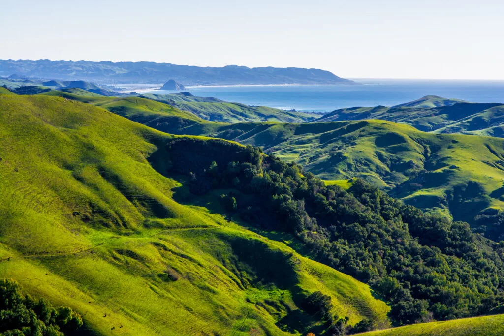 Move Over San Diego! These 3 Coastal Towns Have Postcard Beaches & No Crowds