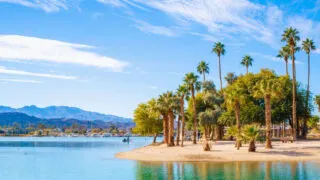 Palm tree lined islet of Lake Havasu, Arizona
