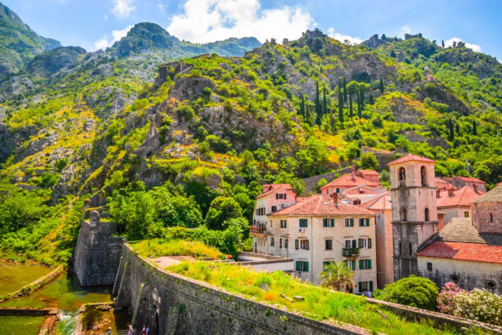 old town Kotor, Montenegro with moutains and forest in background