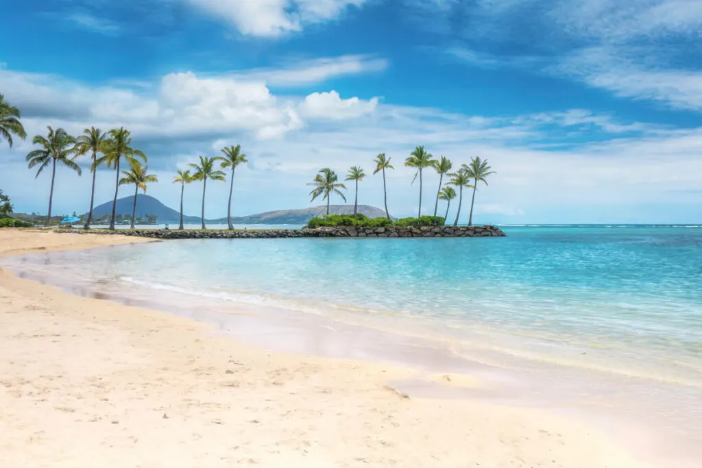 Honolulu beach- palm trees- azure water