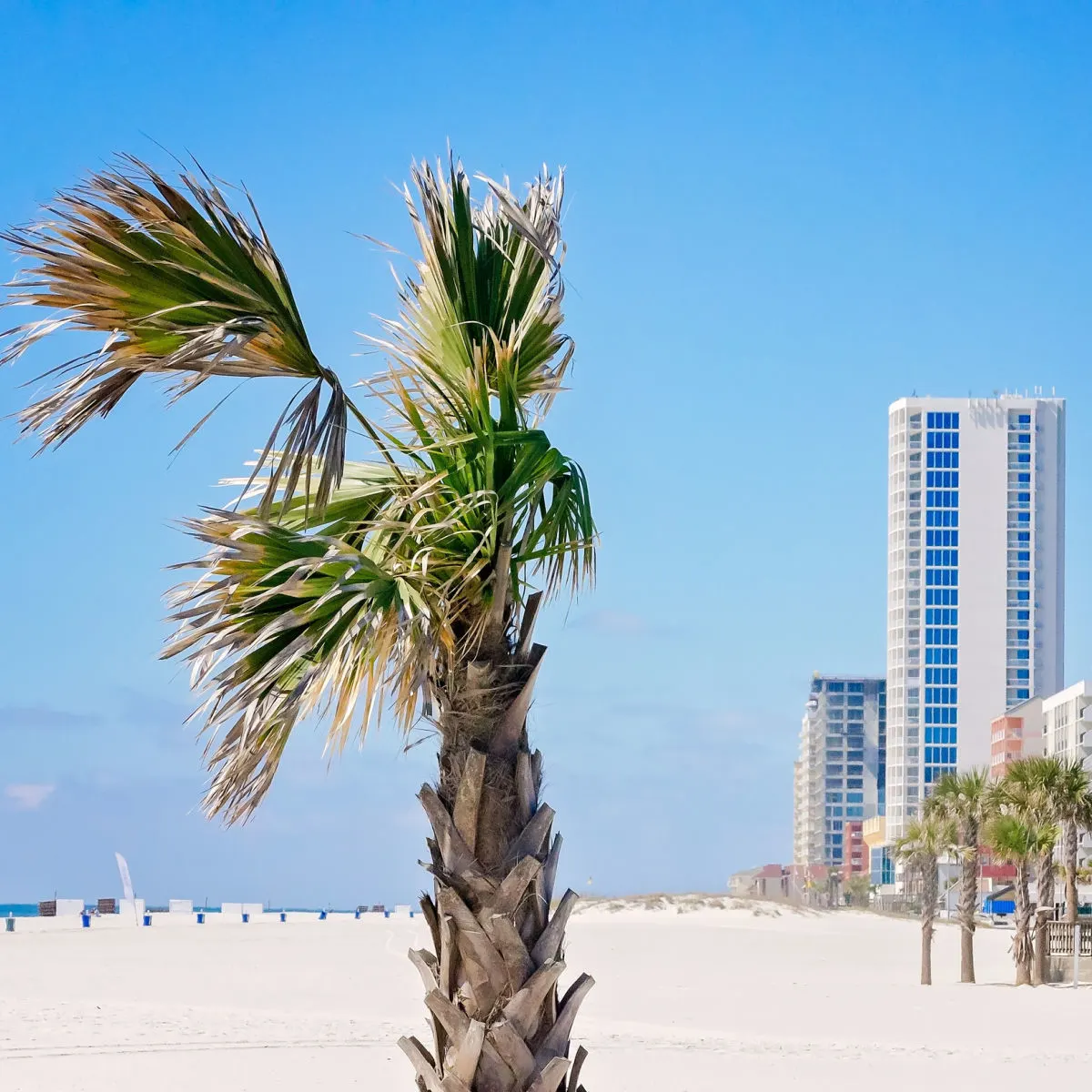 Towering condos on white sand beach in Gulf Shores