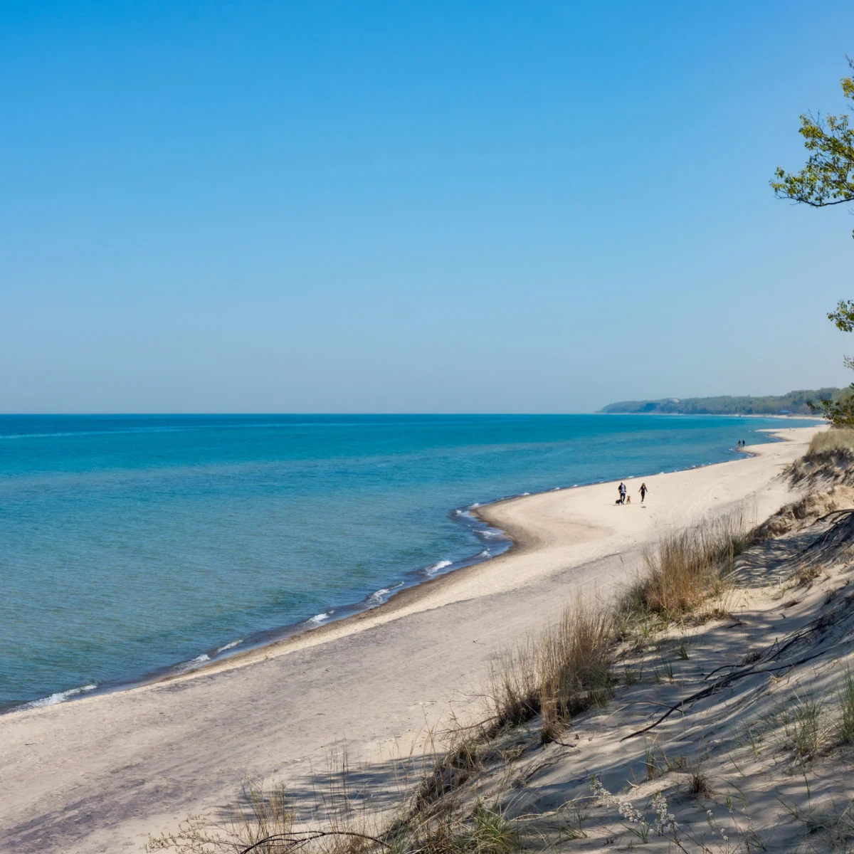 Vibrant beach within Indiana Dunes National Park