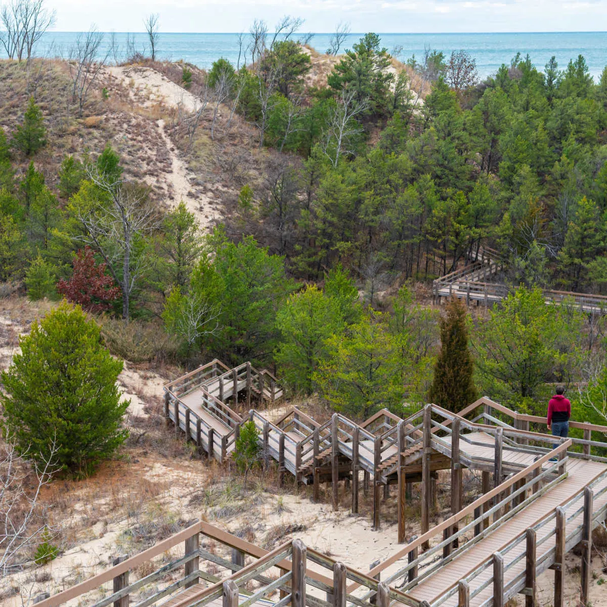 Walkway into forest at Indiana Dunes National Park