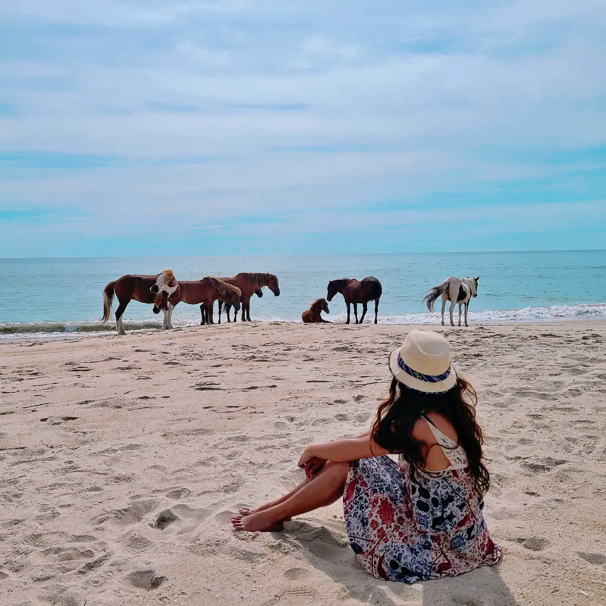 Woman witnessing horses on Assateague Beach